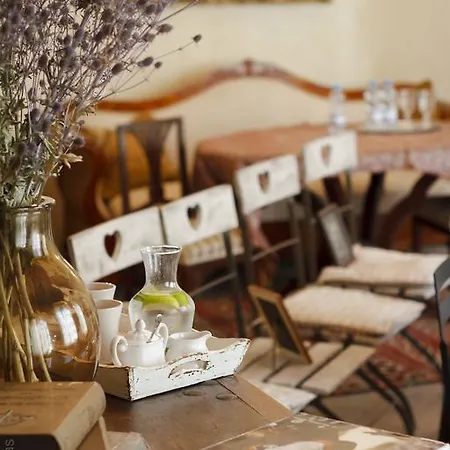 Dwor Dawidy Bed & Breakfast Mlynary