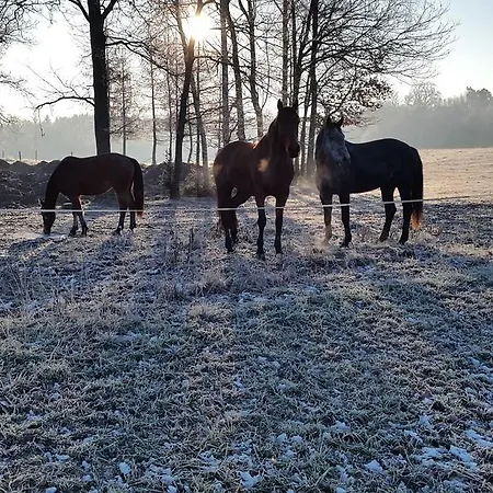 Dwor Dawidy Bed & Breakfast Mlynary