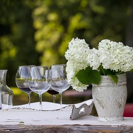 Bed & Breakfast Dwor Dawidy Mlynary