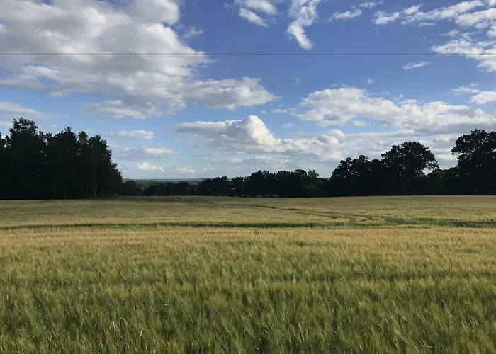 Dwor Dawidy Nocleg ze śniadaniem