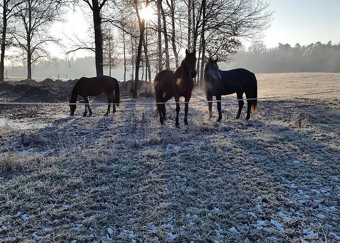 Dwor Dawidy Nocleg ze śniadaniem Mlynary