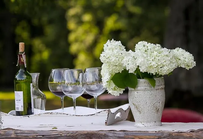 Nocleg ze śniadaniem Dwor Dawidy Mlynary