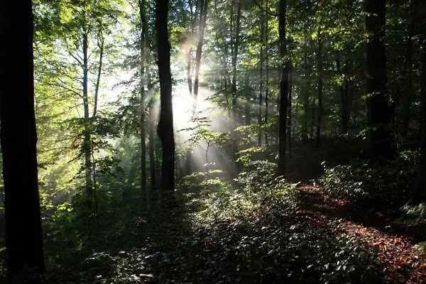 Dwor Dawidy Nocleg ze śniadaniem